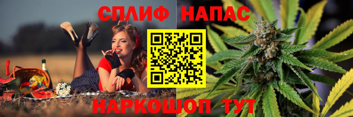 Шишки марихуана тримм  Вход с VPN  Бошки марихуана конопля  Абинск  Бошки Шишки Bruce Banner 